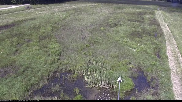 Cell 1_24-06-03_10-27-35-31