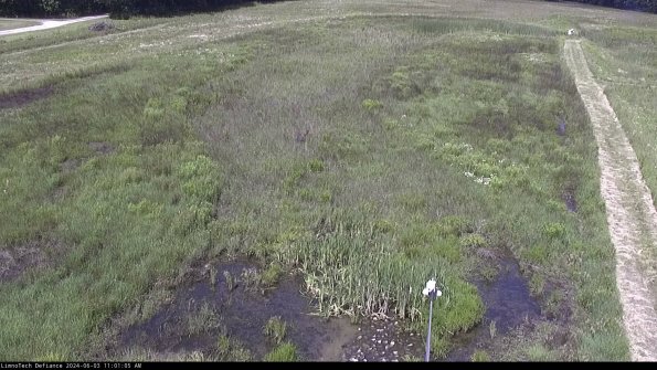 Cell 1_24-06-03_11-01-06-33