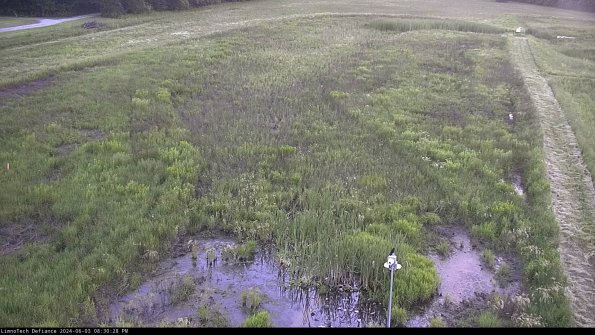 Cell 1_24-06-03_20-30-29-35