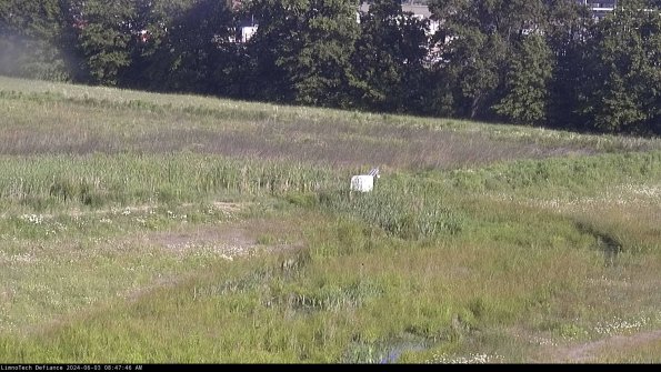 Cell 2 to 3_24-06-03_08-47-47-42