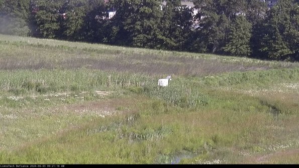 Cell 2 to 3_24-06-03_09-21-16-54