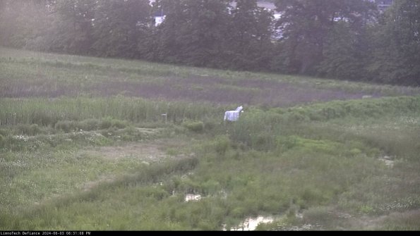 Cell 2 to 3_24-06-03_20-31-09-46