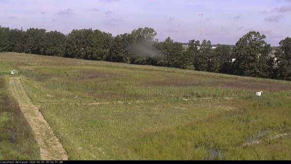 Cell 2_24-06-03_09-54-32-38