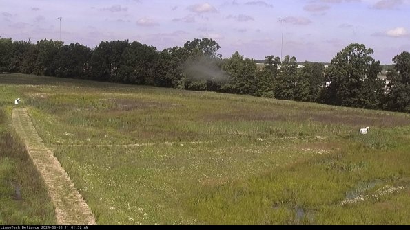 Cell 2_24-06-03_11-01-33-36