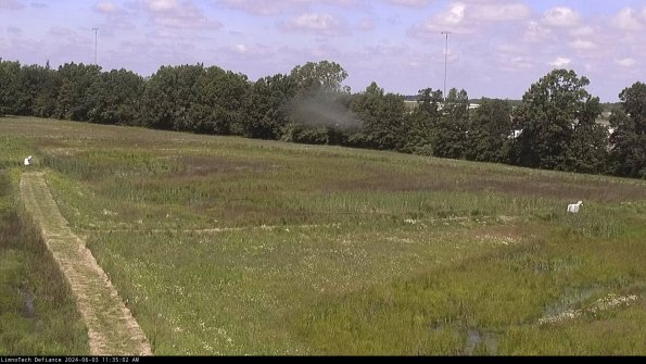 Cell 2_24-06-03_11-35-03-38