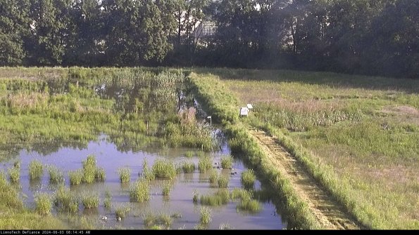 Cell 3 to 4_24-06-03_08-14-46-33