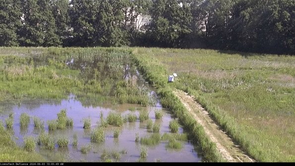 Cell 3 to 4_24-06-03_10-05-50-37