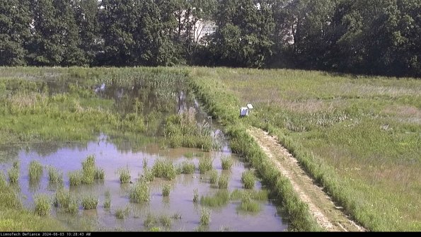 Cell 3 to 4_24-06-03_10-28-44-35