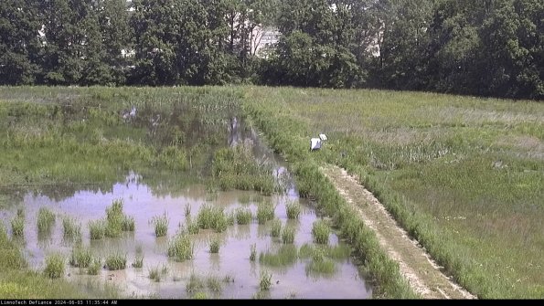 Cell 3 to 4_24-06-03_11-35-45-32