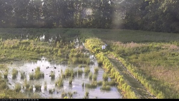 Cell 3 to 4_24-06-03_19-58-09-33