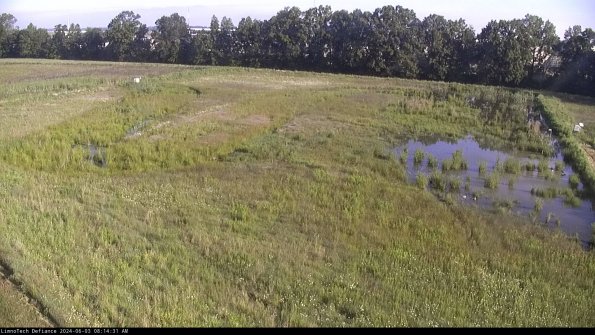 Cell 3_24-06-03_08-14-32-32