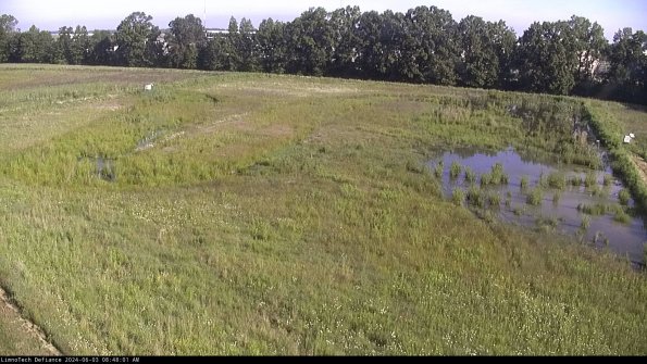 Cell 3_24-06-03_08-48-02-34