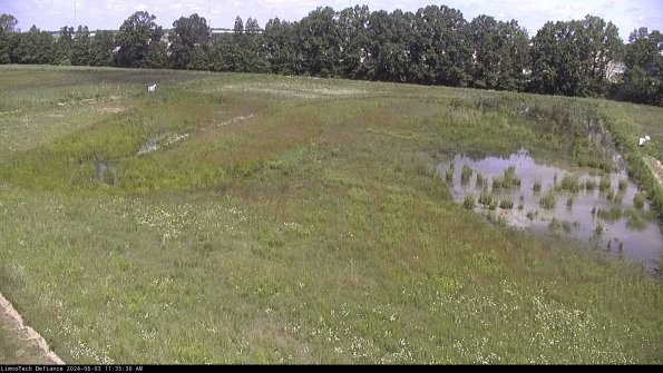 Cell 3_24-06-03_11-35-31-34