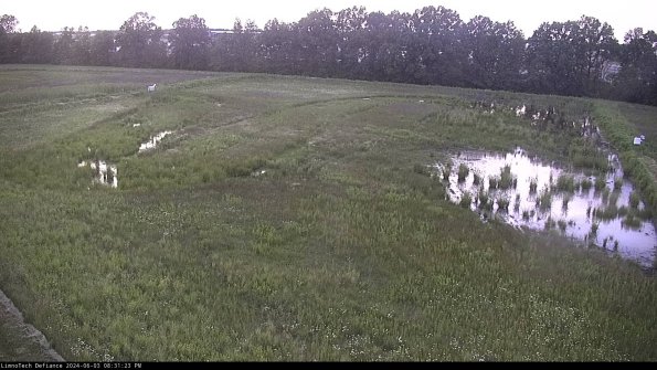 Cell 3_24-06-03_20-31-24-34