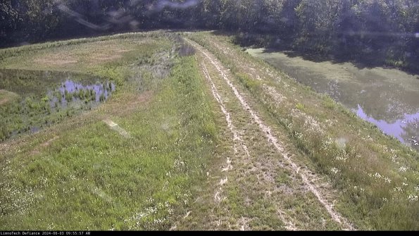 Cell 4 to Basin_24-06-03_09-55-58-37