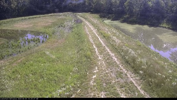 Cell 4 to Basin_24-06-03_10-29-28-36