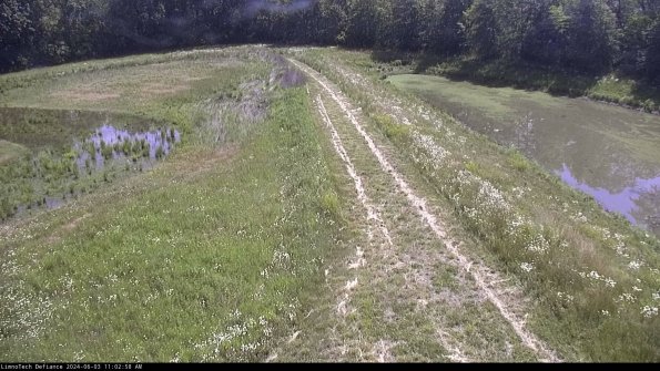 Cell 4 to Basin_24-06-03_11-02-59-35