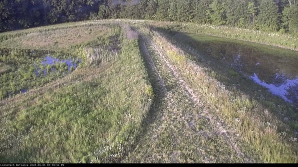 Cell 4 to Basin_24-06-03_19-58-53-34