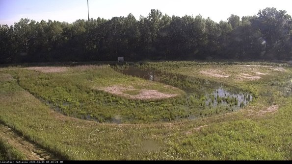 Cell 4_24-06-03_08-48-30-33