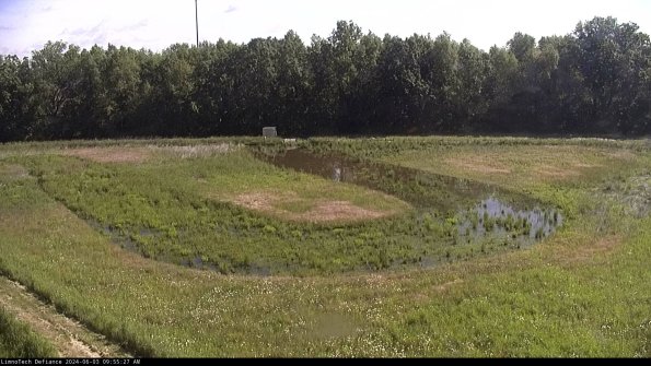 Cell 4_24-06-03_09-55-28-34