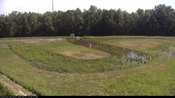 Cell 4_24-06-03_10-28-58-33