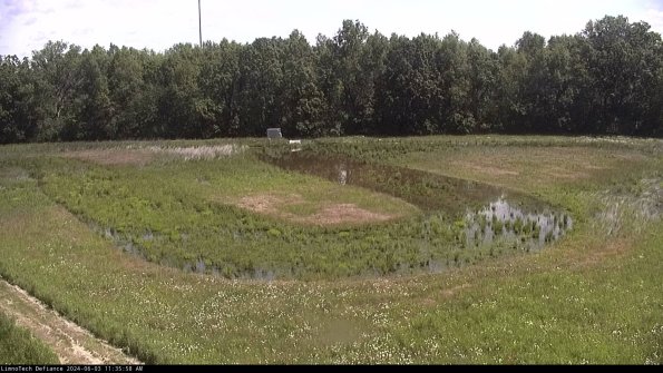 Cell 4_24-06-03_11-35-59-34