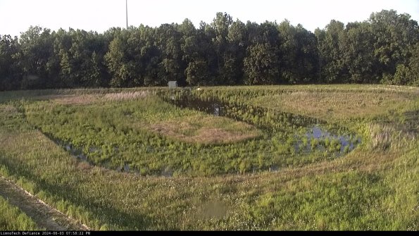 Cell 4_24-06-03_19-58-23-35