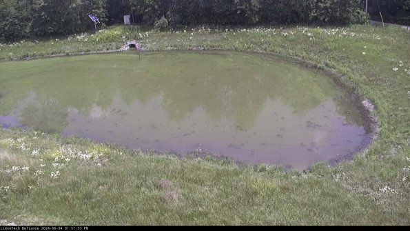 Basin Right_24-06-04_13-51-34-32