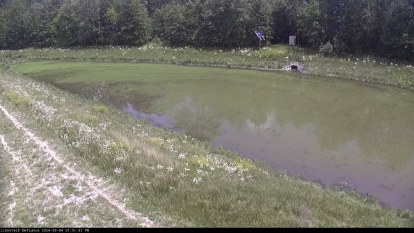 Basin_24-06-04_13-51-03-49