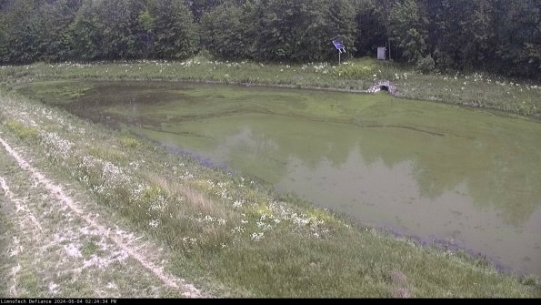 Basin_24-06-04_14-24-34-44