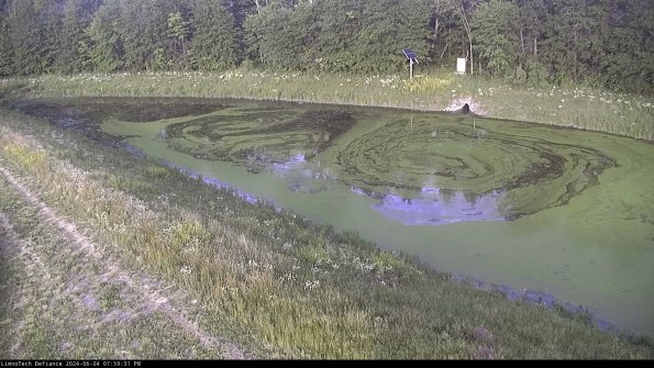 Basin_24-06-04_19-59-31-46