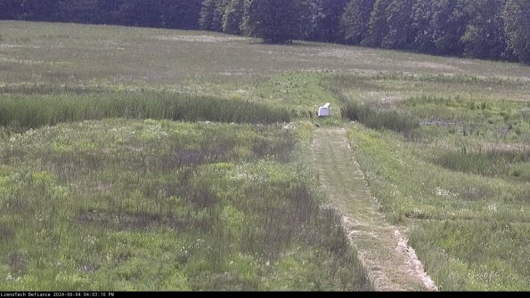 Cell 1 to 2_24-06-04_16-03-11-31