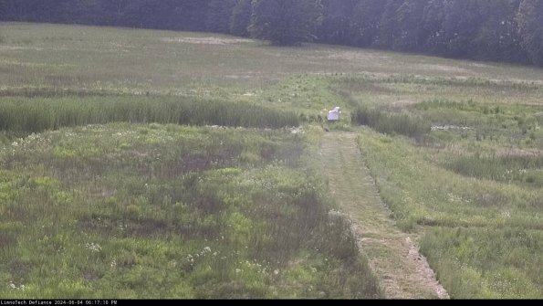 Cell 1 to 2_24-06-04_18-17-11-32