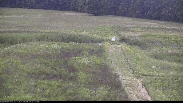 Cell 1 to 2_24-06-04_20-31-10-33