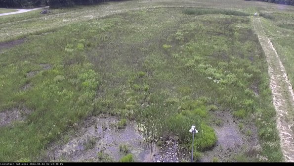 Cell 1_24-06-04_14-22-29-35