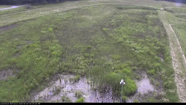 Cell 1_24-06-04_16-36-27-32