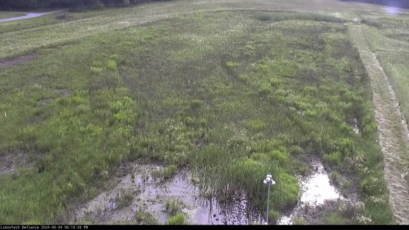 Cell 1_24-06-04_18-16-57-31