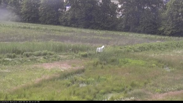 Cell 2 to 3_24-06-04_16-37-07-46