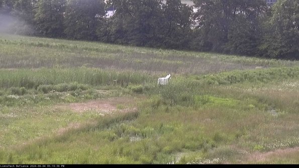 Cell 2 to 3_24-06-04_17-10-37-38