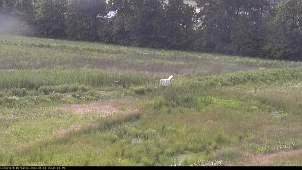 Cell 2 to 3_24-06-04_17-44-07-43