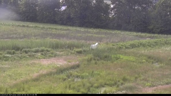 Cell 2 to 3_24-06-04_18-17-37-45