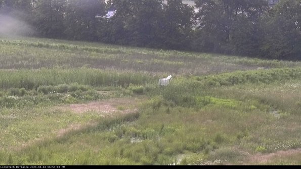 Cell 2 to 3_24-06-04_18-51-08-53