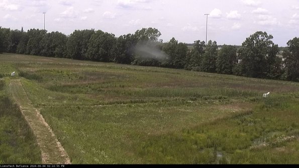 Cell 2_24-06-04_14-22-56-34