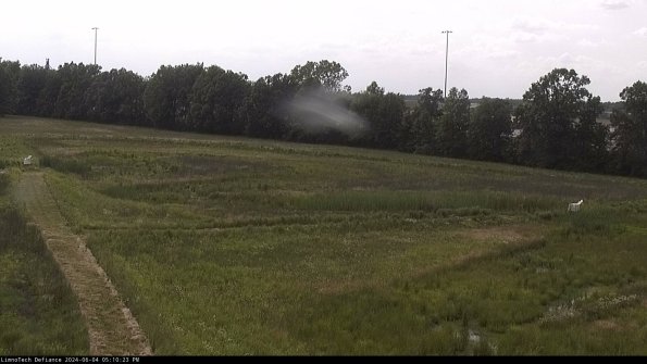 Cell 2_24-06-04_17-10-24-33