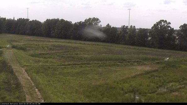 Cell 2_24-06-04_17-43-54-35