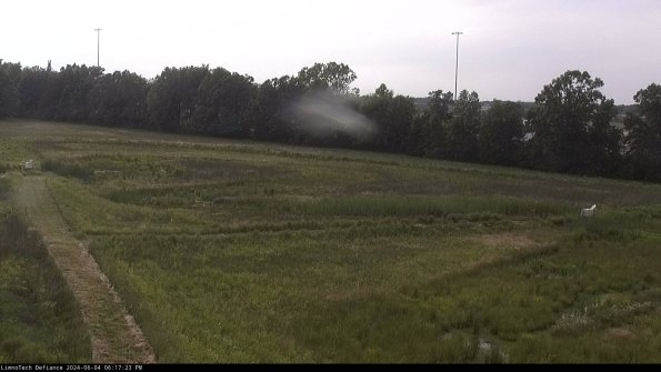 Cell 2_24-06-04_18-17-24-33