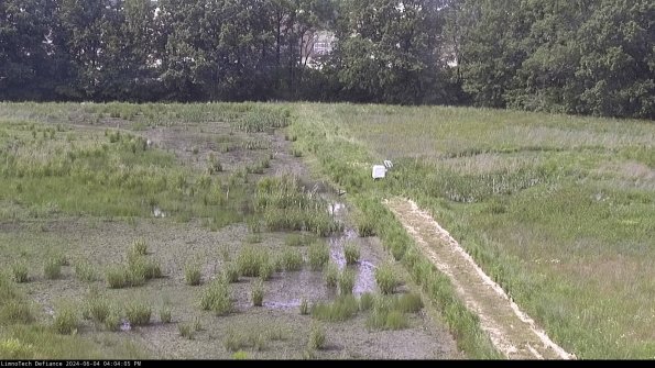 Cell 3 to 4_24-06-04_16-04-06-30