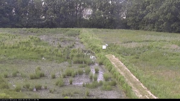 Cell 3 to 4_24-06-04_17-11-05-34