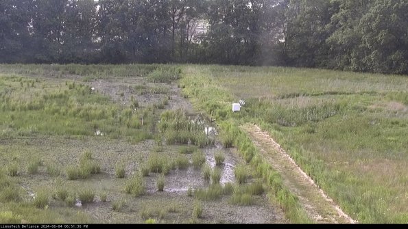 Cell 3 to 4_24-06-04_18-51-37-33