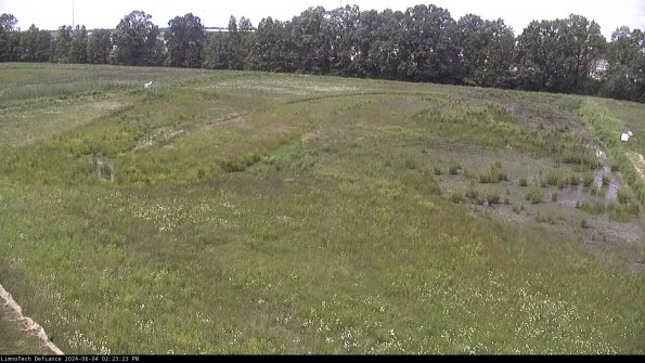 Cell 3_24-06-04_14-23-24-31